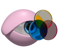 Our Vision