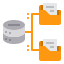 Local Hosting & Support